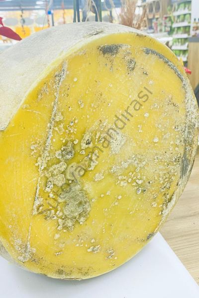 Eski kars kaşarı bütün teker 12-13kg